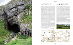 Wild Ruins BC: The explorer's guide to Britain's ancient sites by  Dave Hamilton