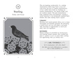 The Wisdom of Birds: Oracle Deck & Guidebook by Sasha Morton & Raxenne Maniquiz
