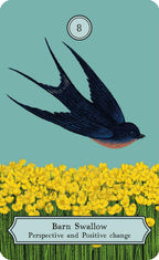 The Wisdom of Birds: Oracle Deck & Guidebook by Sasha Morton & Raxenne Maniquiz
