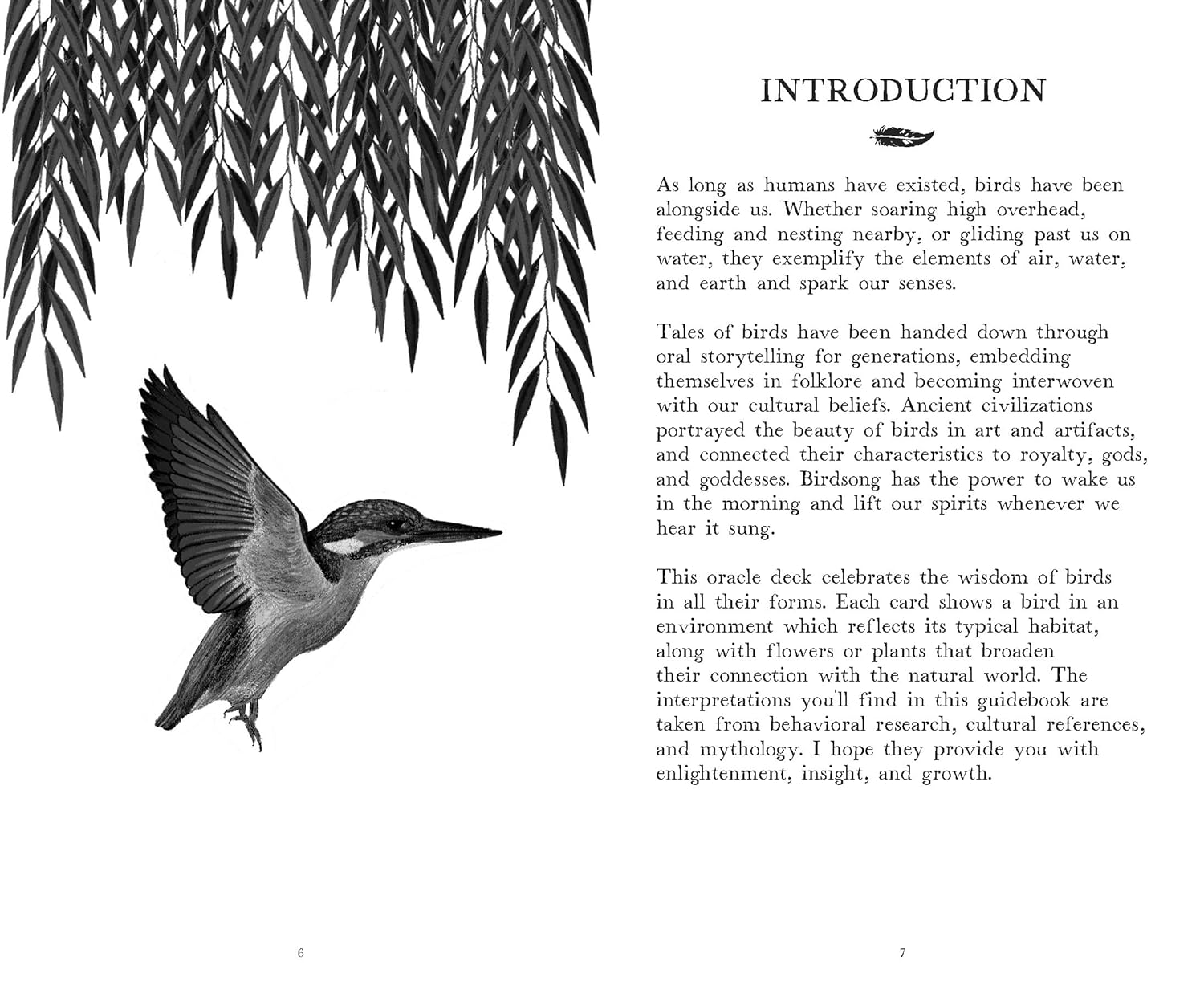 The Wisdom of Birds: Oracle Deck & Guidebook by Sasha Morton & Raxenne Maniquiz