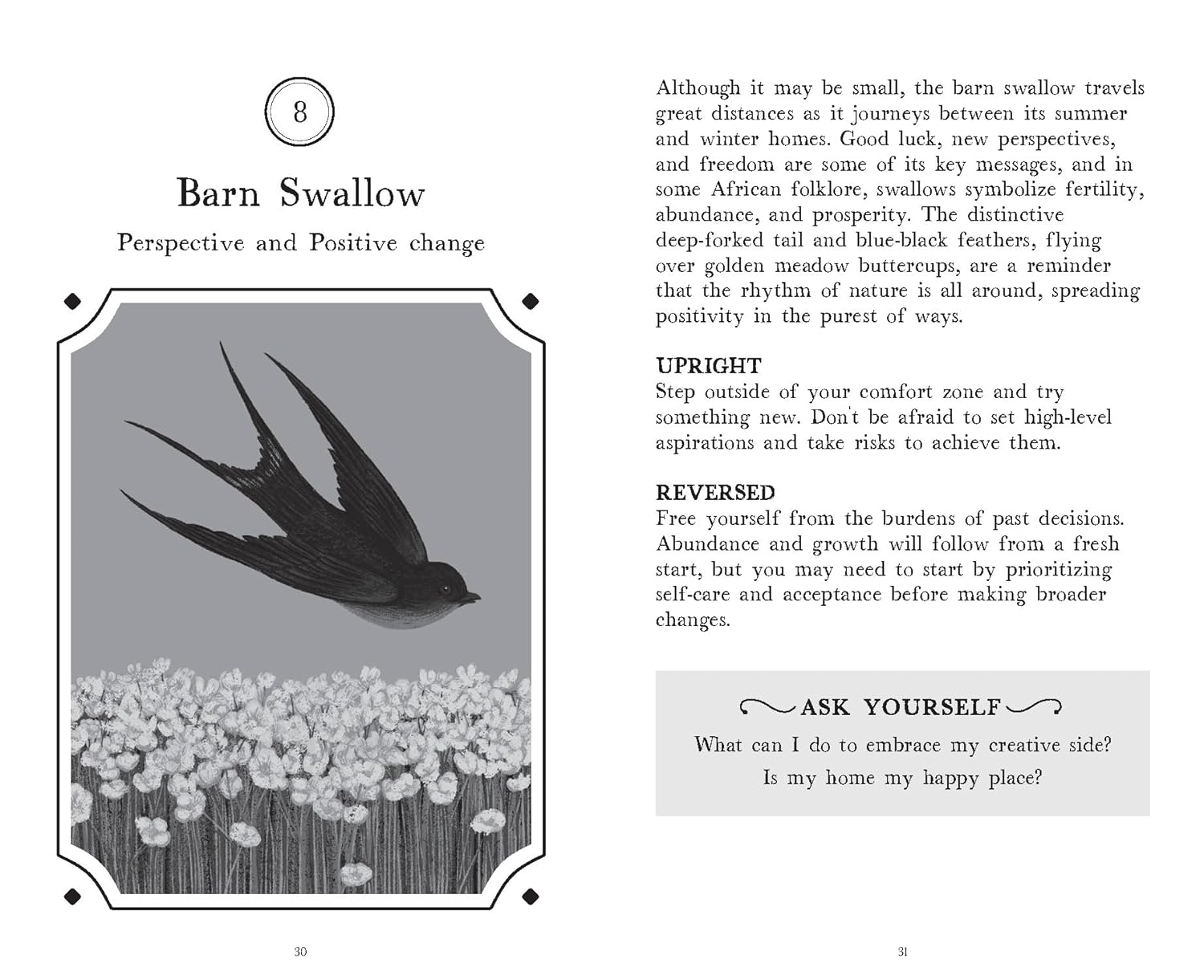 The Wisdom of Birds: Oracle Deck & Guidebook by Sasha Morton & Raxenne Maniquiz