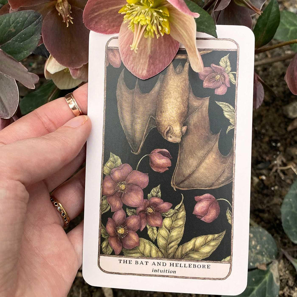 Woodland Wardens: 52-Card Oracle Deck & Guidebook by Jessica Roux