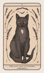 Woodland Wardens: 52-Card Oracle Deck & Guidebook by Jessica Roux