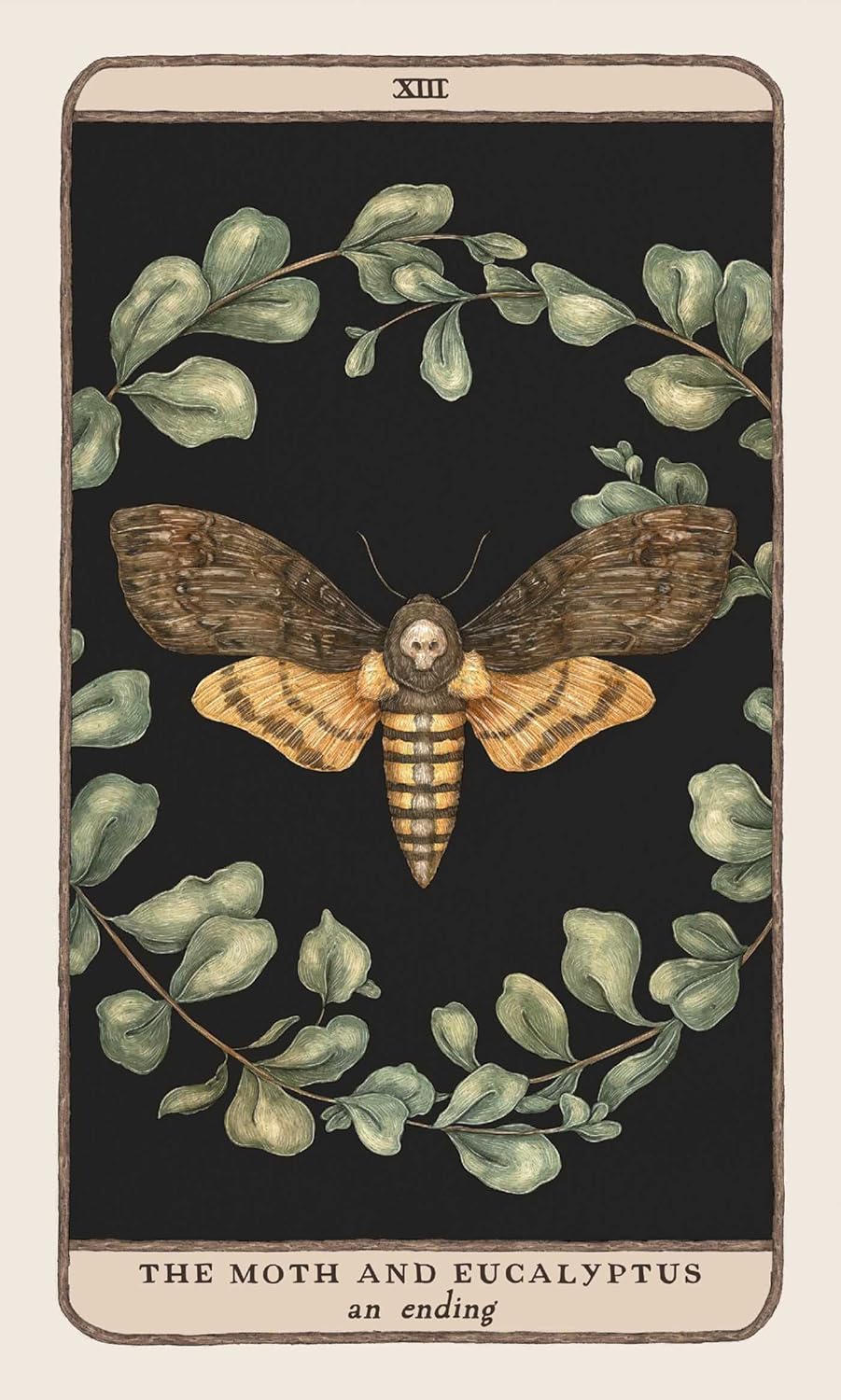 Woodland Wardens: 52-Card Oracle Deck & Guidebook by Jessica Roux