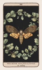 Woodland Wardens: 52-Card Oracle Deck & Guidebook by Jessica Roux