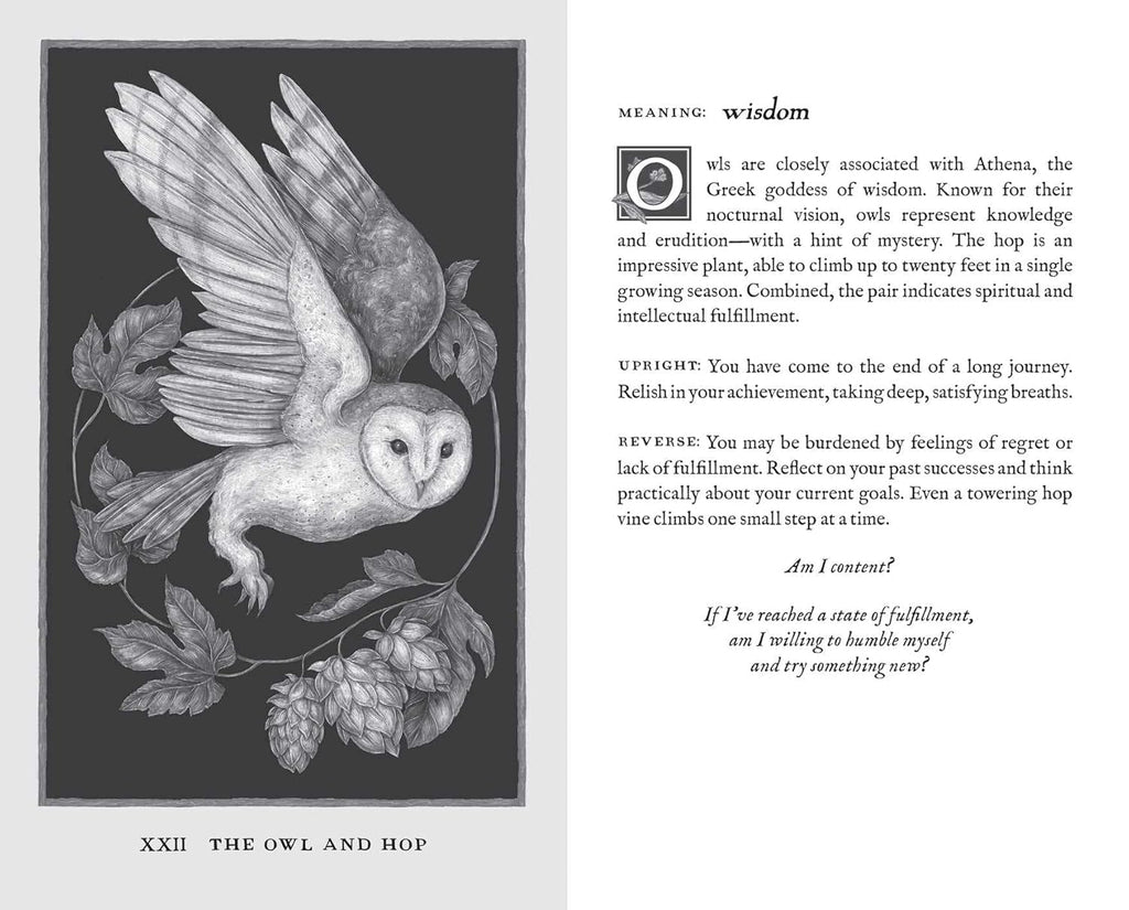 Woodland Wardens: 52-Card Oracle Deck & Guidebook by Jessica Roux